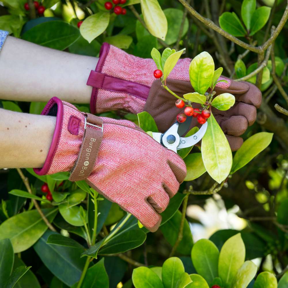 Burgon & Ball Havehandske - Love The Glove Red Tweed